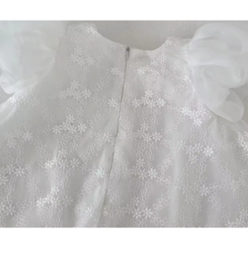 Robe de cérémonie bébé fille à manches courtes